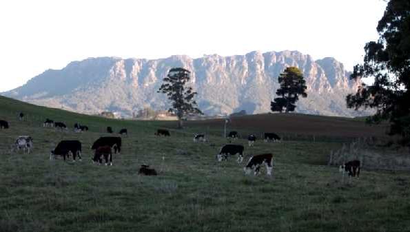 Mount Roland - view from our boundary